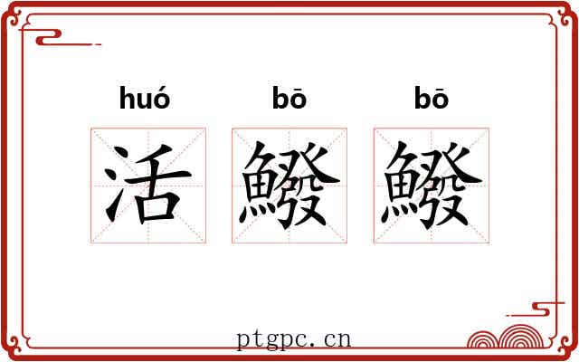 活鱍鱍