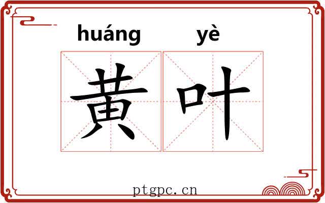 黄叶 黄叶