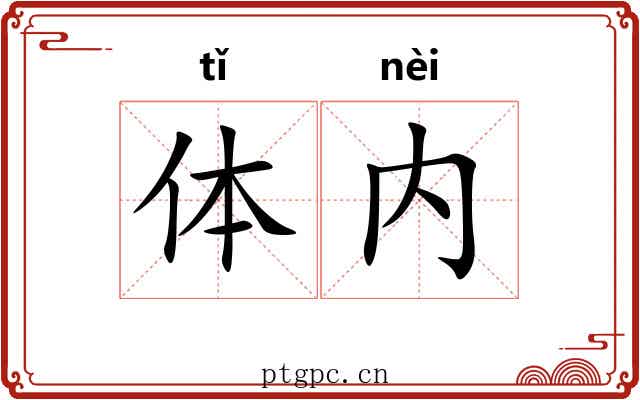 体内 体内