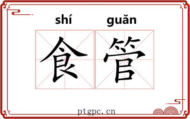 食管 食管
