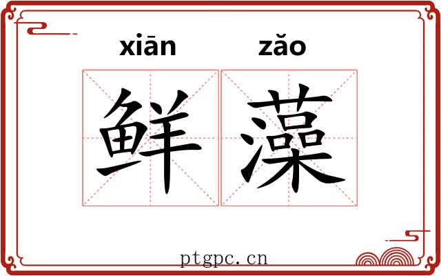 鲜藻 鲜藻