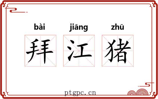 拜江猪 拜江猪