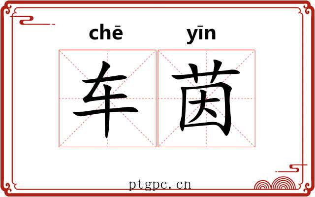车茵 车茵