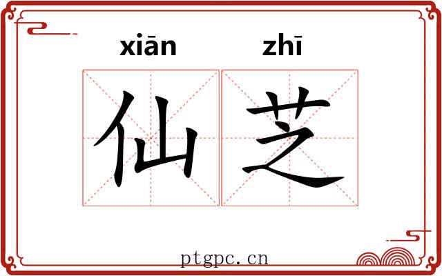 仙芝