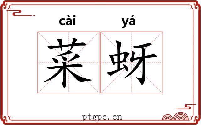 菜蚜
