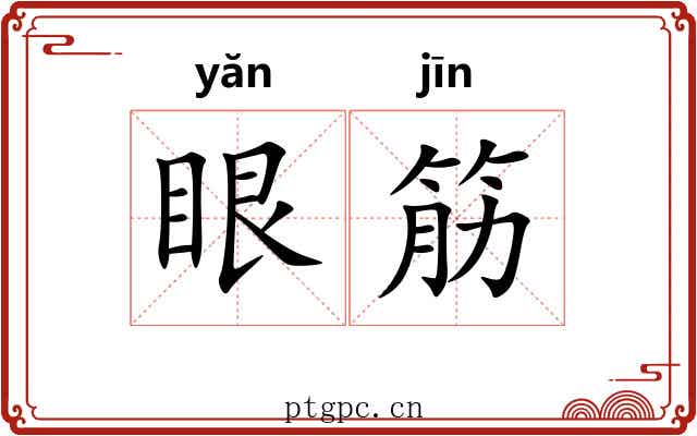 眼筋 眼筋