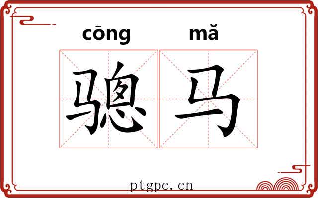 骢马