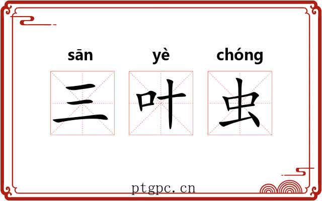 三叶虫 三叶虫