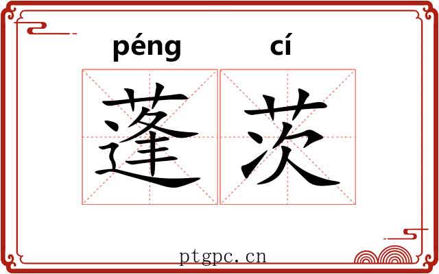 蓬茨 蓬茨