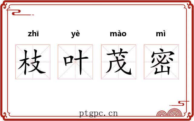 枝叶茂密 枝叶茂密