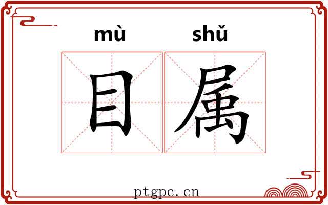 目属 目属