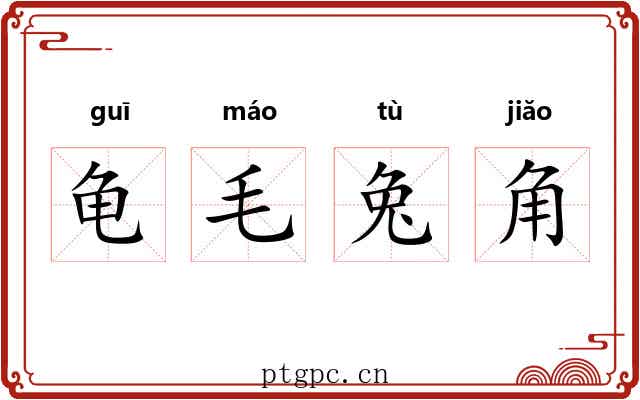 龟毛兔角 龟毛兔角
