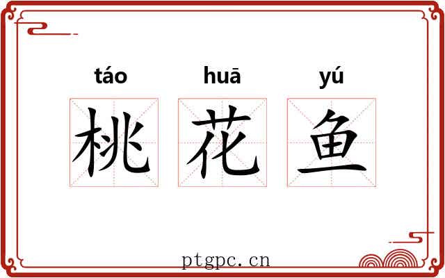 桃花鱼 桃花鱼
