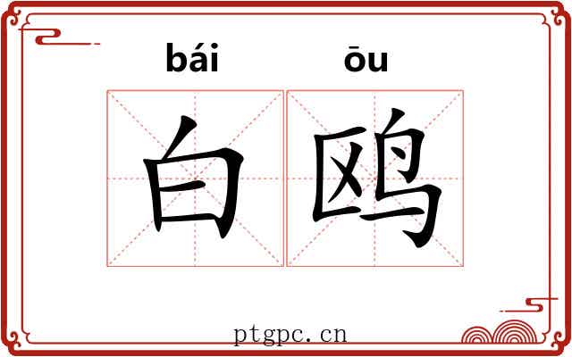 白鸥 白鸥