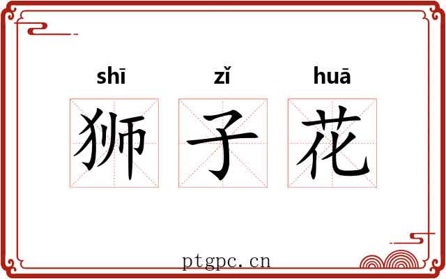 狮子花 狮子花