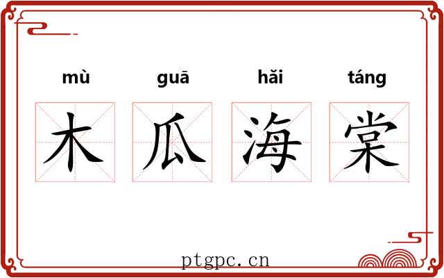 木瓜海棠 木瓜海棠
