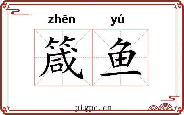 箴鱼