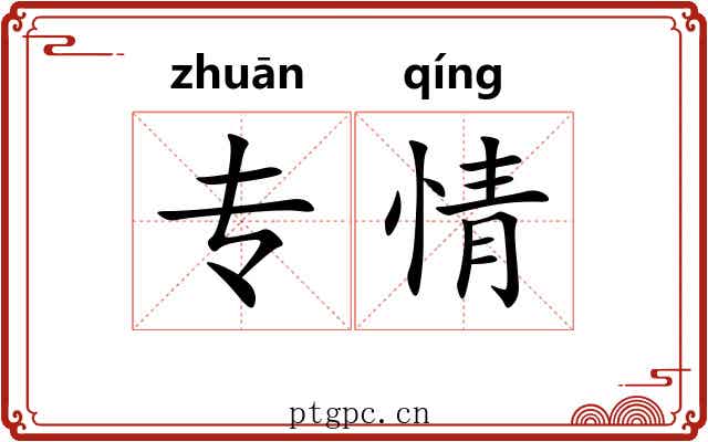 专情