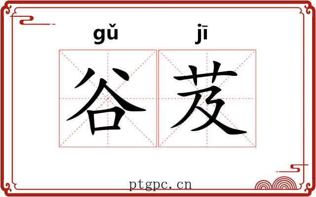 谷芨