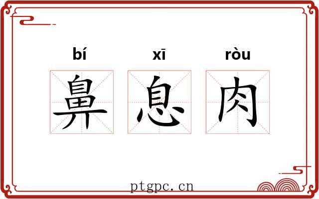 鼻息肉 鼻息肉