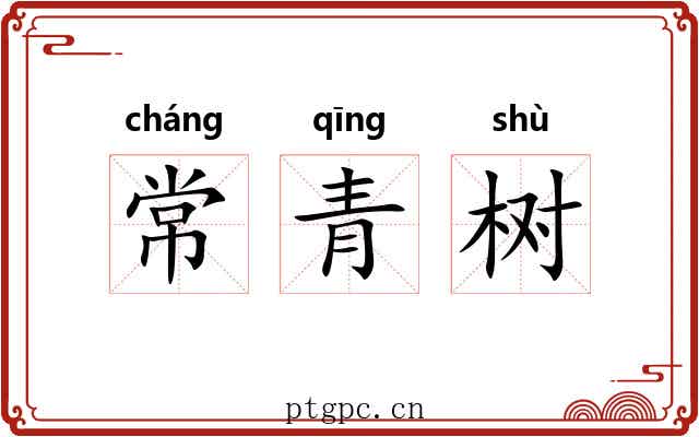 常青树 常青树