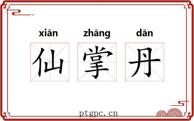 仙掌丹 仙掌丹