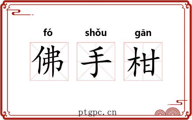 佛手柑 佛手柑
