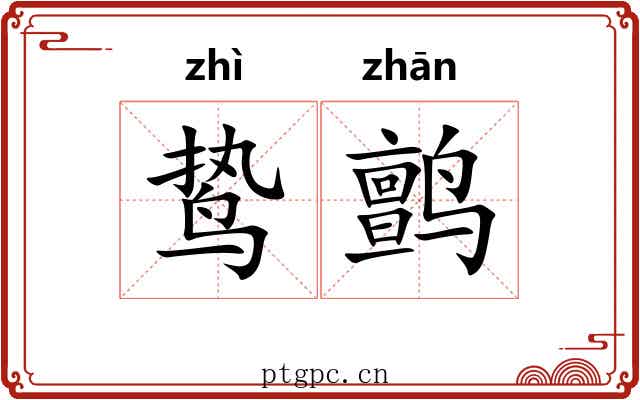 鸷鹯