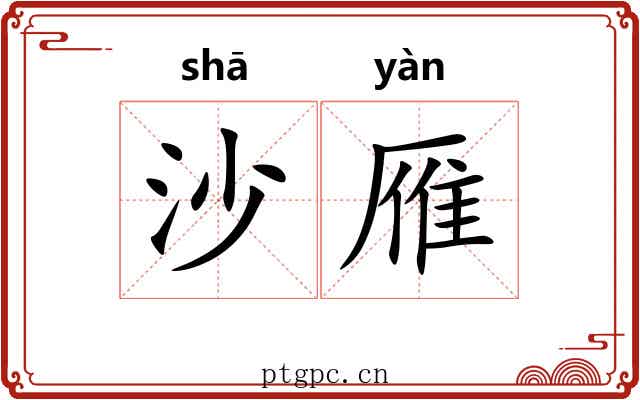 沙雁
