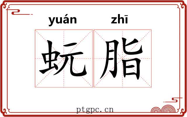 蚖脂