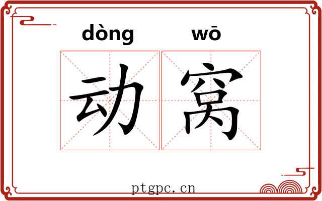 动窝