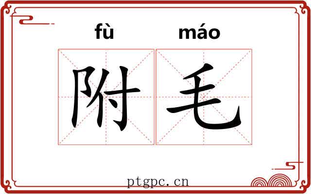 附毛 附毛