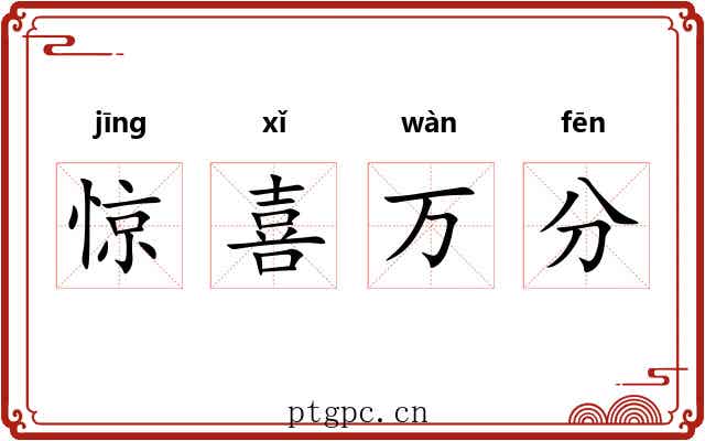 惊喜万分 惊喜万分