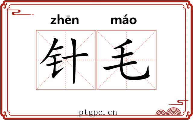 针毛 针毛
