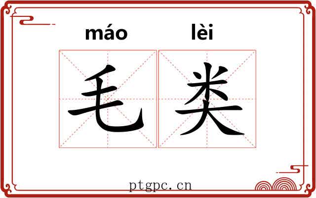 毛类 毛类