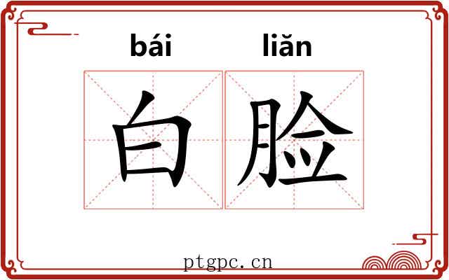 白脸 白脸