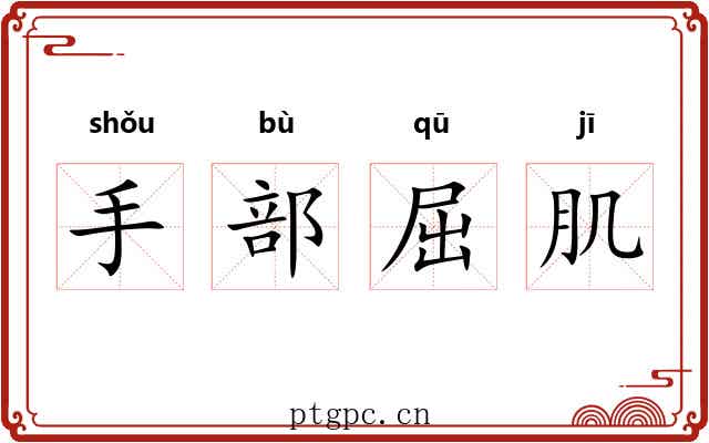 手部屈肌