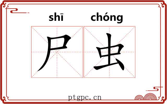 尸虫