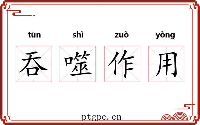吞噬作用 吞噬作用