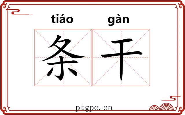 条干 条干
