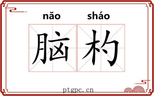 脑杓