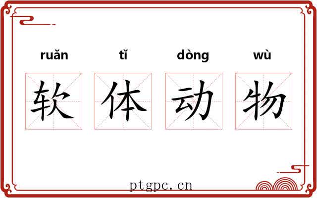软体动物