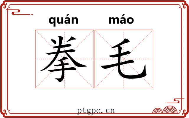 拳毛 拳毛