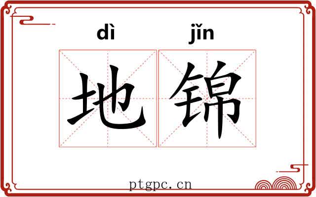 地锦 地锦