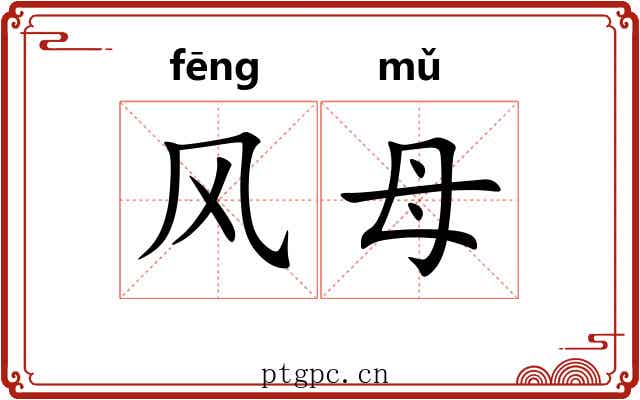 风母 风母