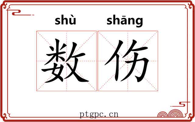 数伤 数伤