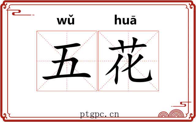 五花 五花