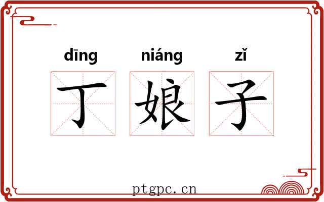 丁娘子 丁娘子