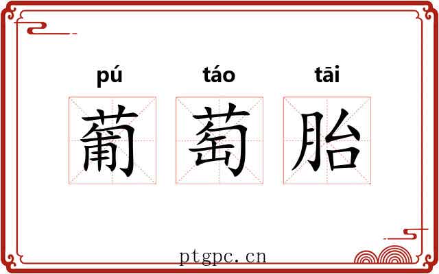 葡萄胎 葡萄胎