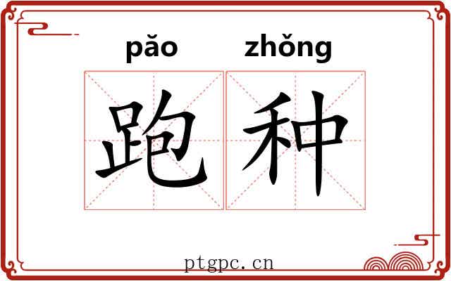 跑种 跑种